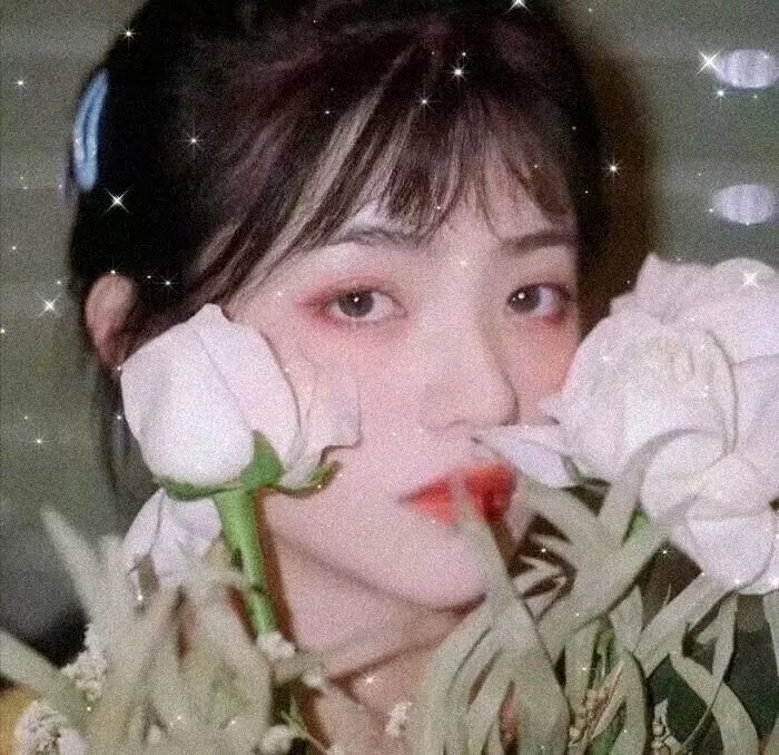 受诅的一代